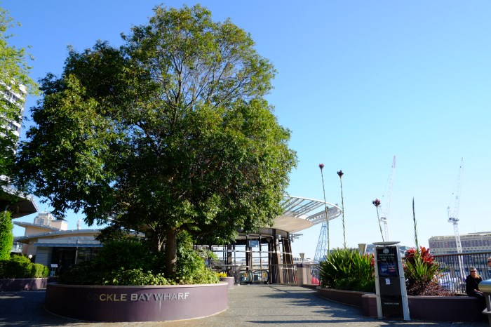 Cockle Bay Wharf