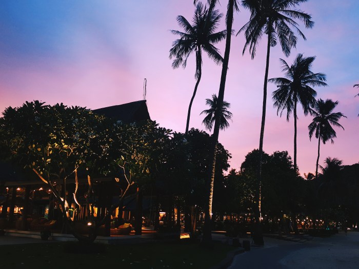 Processed with VSCO with hb2 preset